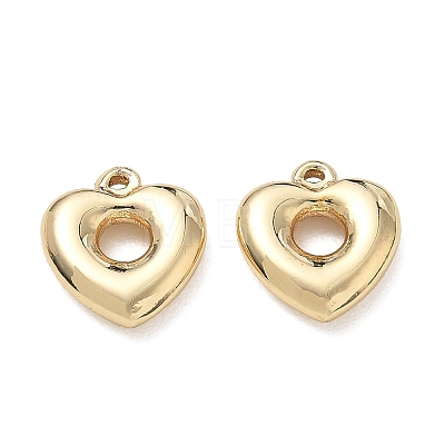 304 Stainless Steel Charms SA-CBA3037-20G-01-1