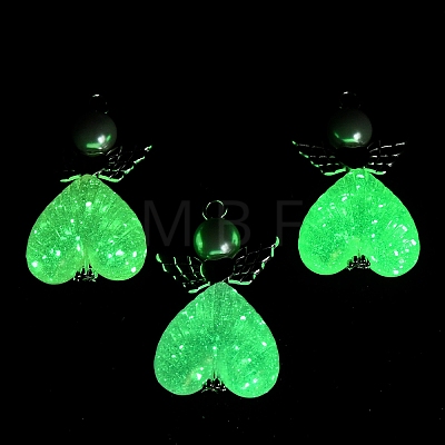 Luminous Transparent Acrylic Pendants PALLOY-JF04204-02-1