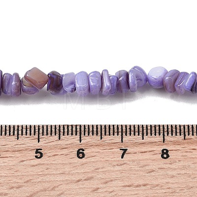 Natural Freshwater Shell Beads SHEL-B003-01L-1