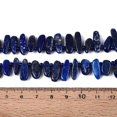 Natural Lapis Lazuli Beads Strands G-Z091-A23-1