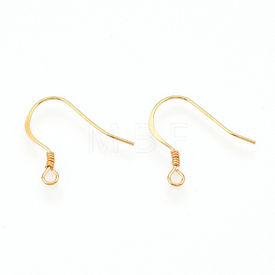 925 Sterling Silver French Hooks with Coil LS-STER-T007-119G-1