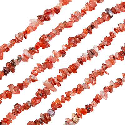 3 Strand Natural Carnelian Beads Strands G-BC0001-25-1