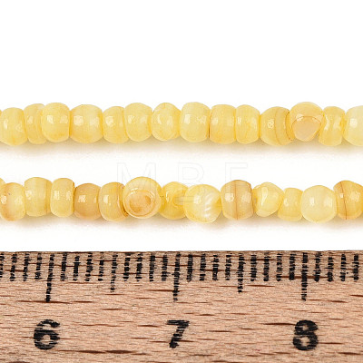 Natural Freshwater Shell Dyed Beads Strands SHEL-T020-29B-08-1