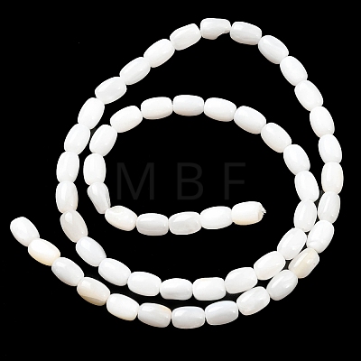 Natural Freshwater Shell Beads Strands SHEL-R129-02-1