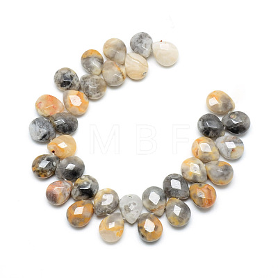 Natural Crazy Agate Gemstone Beads Strands X-G-T006-10-1