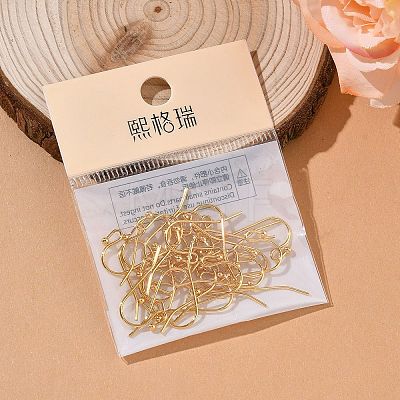 SHEGRACE Brass Earring Hooks XGR0138G-154G-1