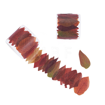 Autumn Leaf Paper Tape Stickers for Card Making DIY-TAC0032-23C-1