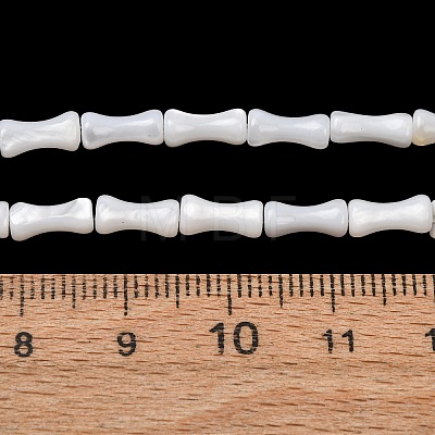 Natural Freshwater Shell Beads Strands SH-CBA2978-13-1