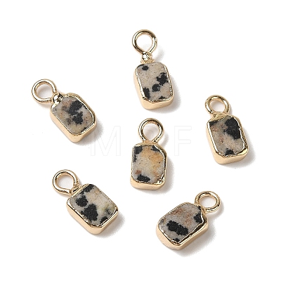 Natural Dalmatian Jasper Rectangle Charms G-Q169-07G-06-1