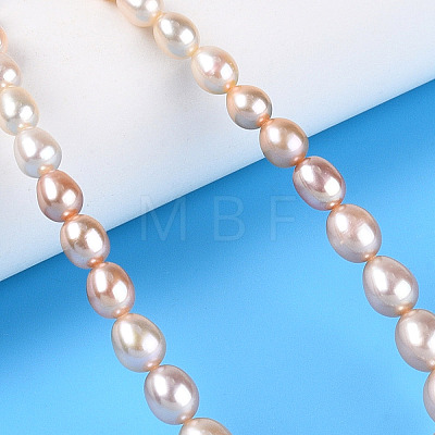 Natural Cultured Freshwater Pearl Beads Strands PEAR-K003-21D-1