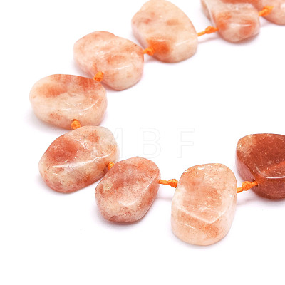 Natural Strawberry Quartz Beads Strands G-E569-P02-1