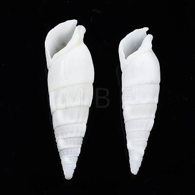 Natural Trochid Shell/Trochus Shell Beads SSHEL-N034-116-1