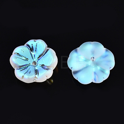 Transparent Frosted Glass Beads GLAA-Q089-003-D001-1