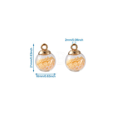 Transparent Glass Globe Pendant Sets GLAA-TA0003-01-1