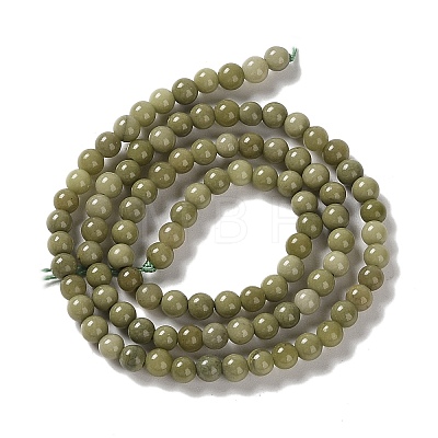 Natural Alashan Agate Beads Strands G-P530-B05-01-1