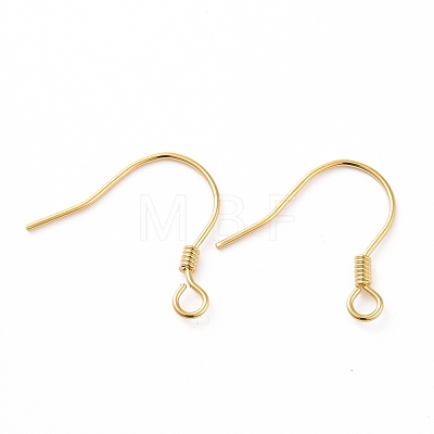 925 Sterling Silver Earring Hooks STER-D035-22G-1