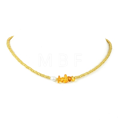 Women's Natural Amber Necklaces NJEW-JN06110-1