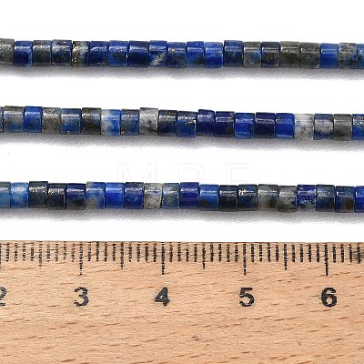 Natural Lapis Lazuli Beads Strands G-P608-A06-01-1