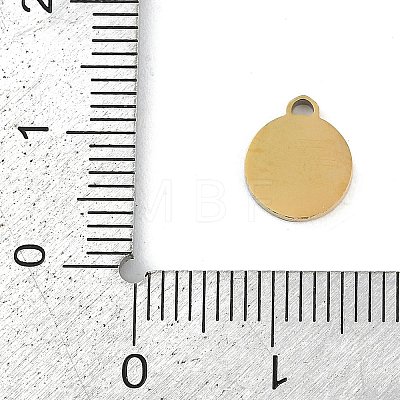 304 Stainless Steel Enamel Charms STAS-I325-063G-01-1