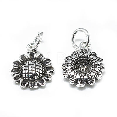 Thailand 925 Sterling Silver Charms STER-T002-58AS-1