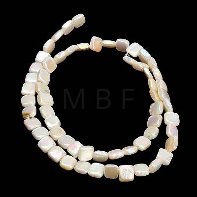 Electroplated Natural Freshwater Shell Beads Strands SH-CBA93AD-05-1