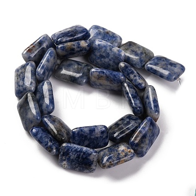 Natural Blue Spot Jasper Beads Strands G-T047-B10-01-1