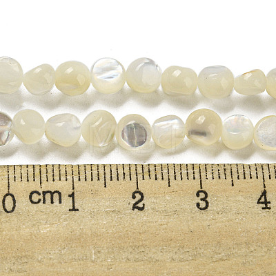Natural White Shelll Beads Strands SSHEL-H072-03-1