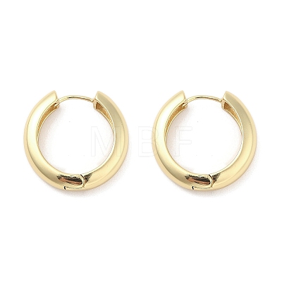 Brass Hoop Earrings EJEW-M260-08G-1