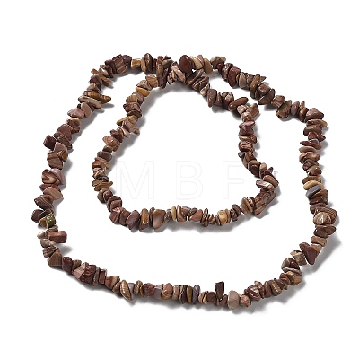 Natural Petrified Wood Beads Strands G-M205-89-1