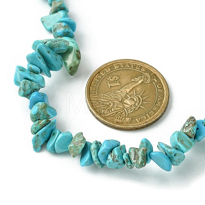 Synthetic Turquoise Chips Beaded Necklace NJEW-FZ00004-02-1