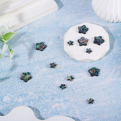 12Pcs 2 Styles Natural Abalone Shell/Paua Shell Beads SHEL-TA0001-40-1