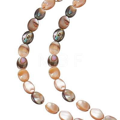 1 Strand Natural Paua Shell Beads Strands BSHE-ME0001-05-1