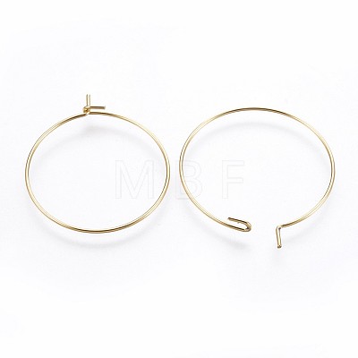 316 Surgical Stainless Steel Hoop Earring Findings STAS-P221-01B-G-1