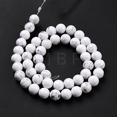 Synthetic Howlite Beads Strands G-E568-04B-1