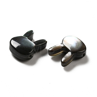 Natural Black Lip Shell Beads SHEL-G014-06A-1