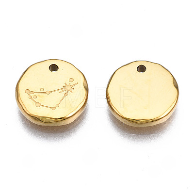 316 Surgical Stainless Steel Charms STAS-S116-418C-G-1