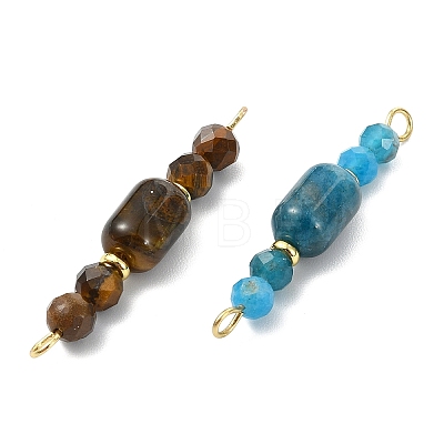 Natural Mixed Gemstone Beaded Connector Charms PALLOY-JF05822-1