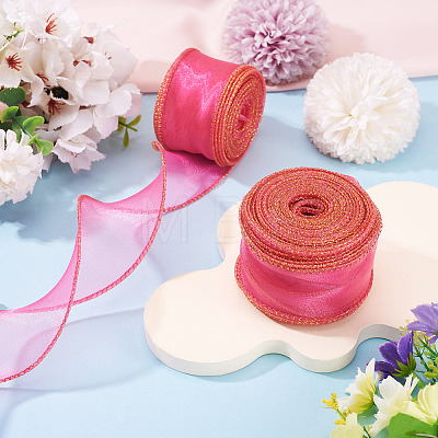 2 Rolls Polyester Mesh Ribbons SRIB-TA0003-42B-1