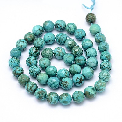 Natural Howlite Beads Strands TURQ-P027-42-1