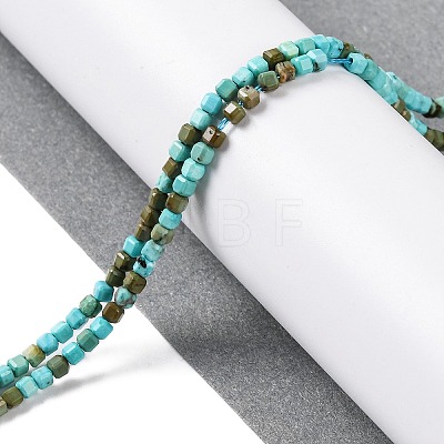 Natural Howlite Beads Strands G-G001-A02-06-1