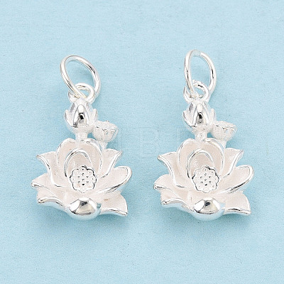 925 Sterling Silver Pendants STER-T009-14S-1