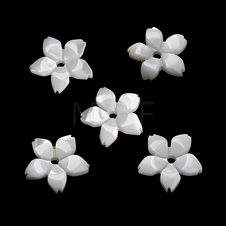 Natural White Shell Beads SH-CBA93AD-08-1