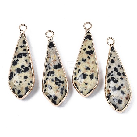 Natural Dalmatian Jasper Pendants G-S359-319C-1