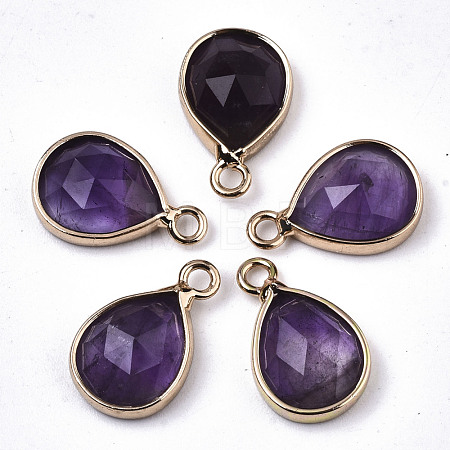 Natural Amethyst Charms G-N326-50B-1