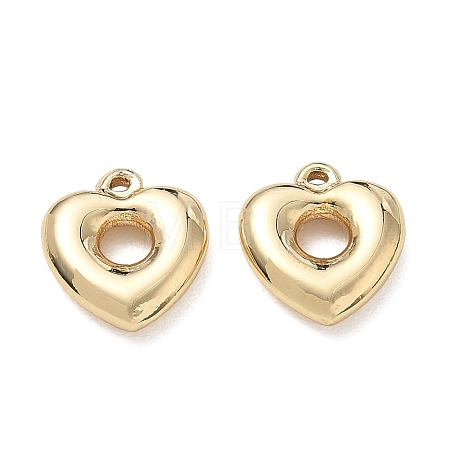 304 Stainless Steel Charms SA-CBA3037-20G-01-1