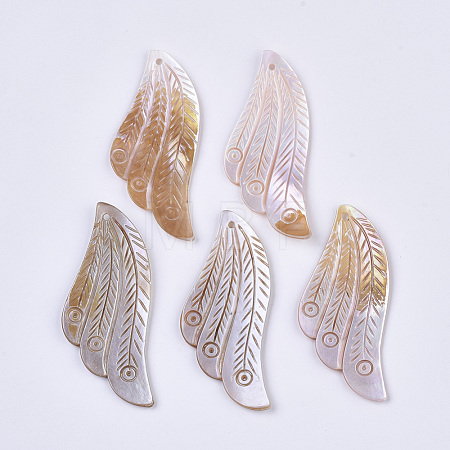 Freshwater Shell Big Pendants SHEL-T016-07-1