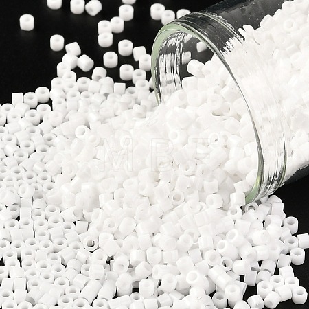 Cylinder Seed Beads SEED-H001-H24-1