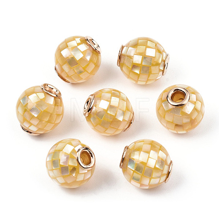 Natural White Shell Beads SSHEL-N034-131I-1