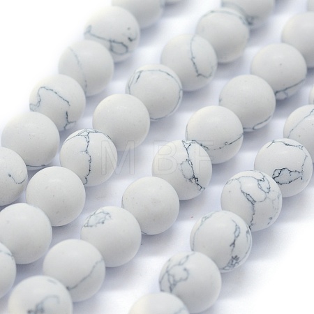 Synthetic Turquoise Beads Strands G-P387-02-8mm-1