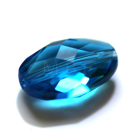 Imitation Austrian Crystal Beads SWAR-F063-13x10mm-25-1